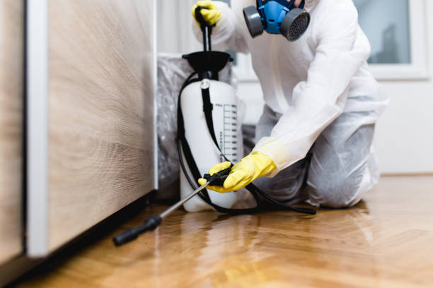 Collinsville, TX Pest Control Company