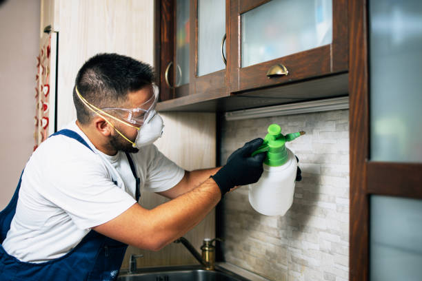 Reliable Collinsville, TX Pest Control Solutions