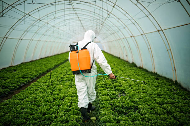 Best Affordable Pest Control Services  in Collinsville, TX