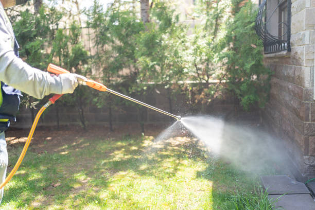 Best Mosquito Control Services  in Collinsville, TX